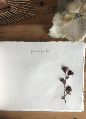 Página extra flor Campanilla