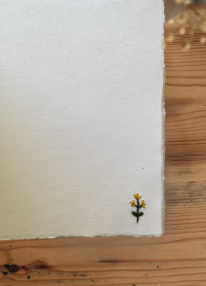 Página extra flor Siempreviva