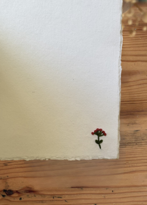 Página extra flor Verbena