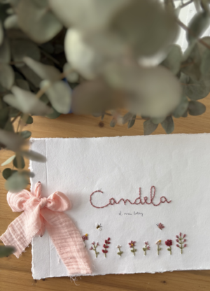 Libro de firmas florecitas con insectos