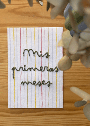 Lámina Mis primeros meses